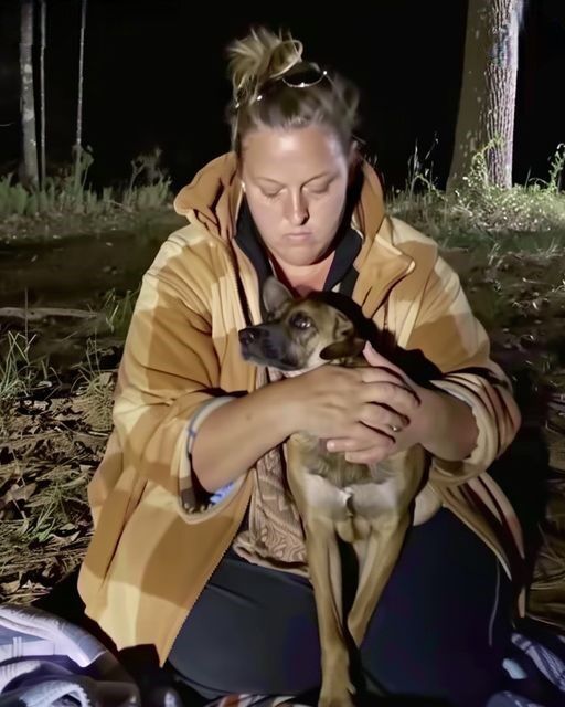 We Thought a Stray Dog Came to Our Camp at Night Because He Was Hungry