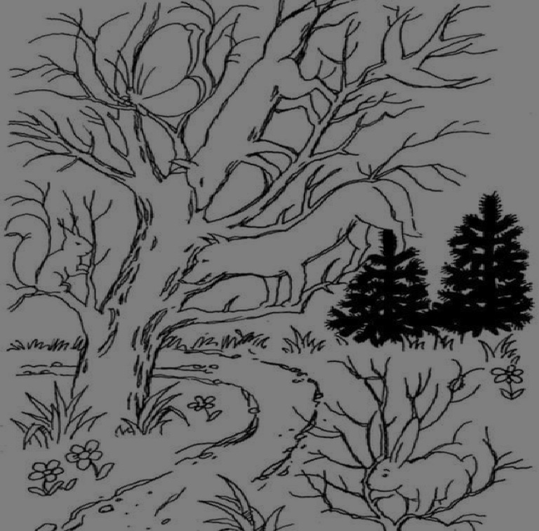 Mini-test. Animals are playing hide and seek – join the search.