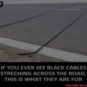 If You Ever See Black Cables Stretching Across The Road, This Is What You Should Do