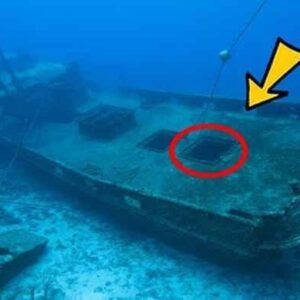 Divers Find Old Sunken Ship, Their Mouths Fall Open When They See What’s Inside