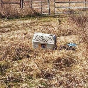 Bikers see an abandoned cage and what they find inside changes their lives forever…