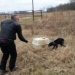 Bikers see an abandoned cage and what they find inside changes their lives forever…