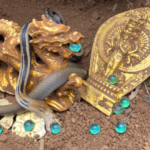 A lucky man dug up an ancient golden vase buried deep underground dating back 3,500 years. What happened right after he found it?