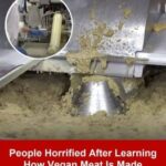 People Are Disturbed At The Horrifying Truth Of How Vegan Meat Is Made