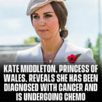 Kate Middleton, Princess Of Wales, Reveals She Has Been Diagnosed With Cancer and Is Undergoing Chemo