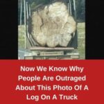 Now We Know Why People Are Outraged About This Photo Of A Log On A Truck