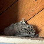 Why the Walls of Your House May Contain Razor Blades