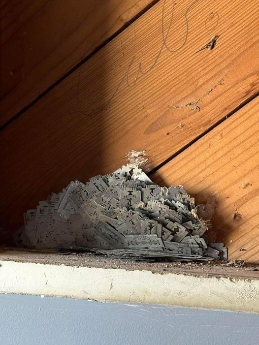 Why the Walls of Your House May Contain Razor Blades