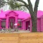 Neighbors Are Angry Over Color He Decided To Paint His House, Refuses To Change It