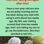 Mom forbids mother-in-law from seeing her grandson after a hilariously misguided potty training trick.