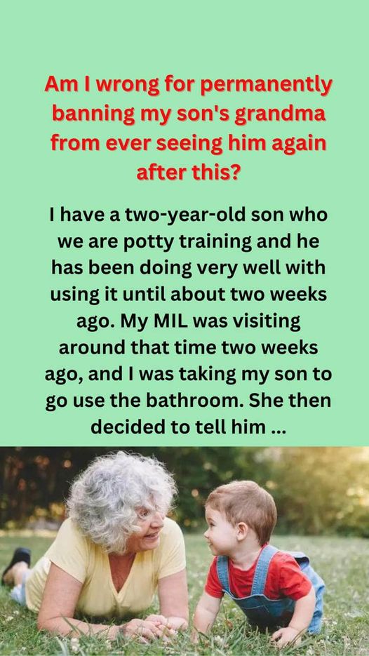 Mom forbids mother-in-law from seeing her grandson after a hilariously misguided potty training trick.