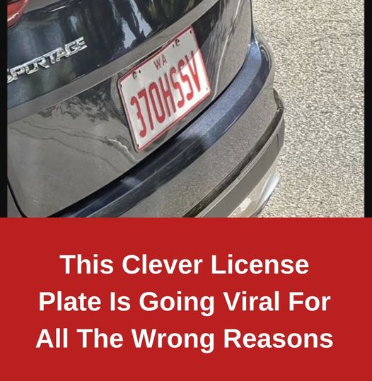 This Clever License Plate Is Going Viral For All The Wrong Reasons