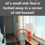 If You See a Small Sink in a Hallway, This Is What It’s For