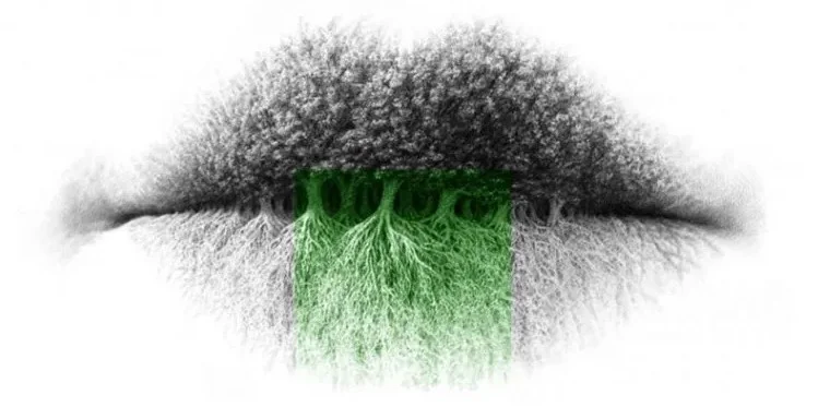 What Did You See First Let’s See What It Says About Your Personality Traits