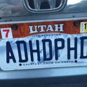 “Mystery Unveiled: The Curious Case of the Controversial License Plate”