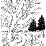 Mini-test. Animals are playing hide and seek – join the search.