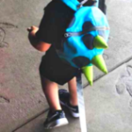 Mom defends putting her kid on a leash for safety