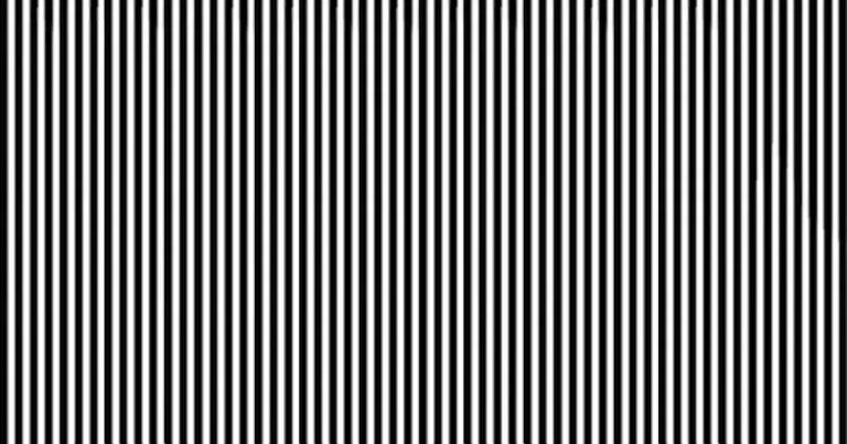 Only 7% can see the animal hiding in the picture – can you?