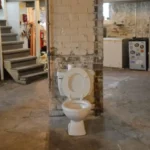 The Justification for the Toilet in the Basement of Certain Old Homes