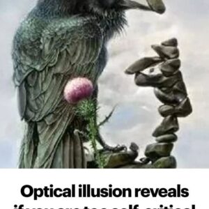 Optical illusion reveals if you are too self-critical