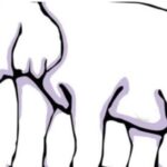 Put your IQ to the test: can spot the hidden feather in this mind-bending optical illusion!