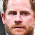 Surprise, the rumors regarding Kate Middleton are confirmed to be accurate by Prince Harry’s warning.