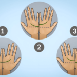 Look at Your Heart Line: An Amazing Character Test.