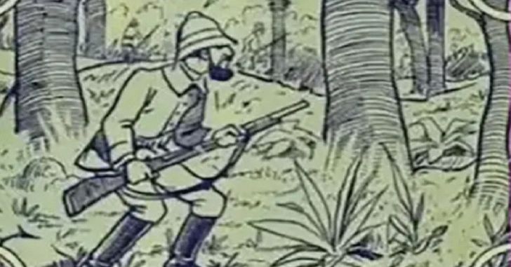 In This Optical Illusion, Can You Find The Elephant?