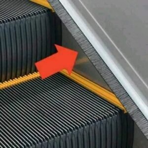 What is this thing that you always see on an escalator?