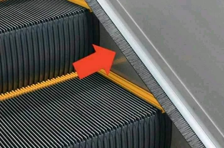 What is this thing that you always see on an escalator?