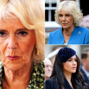 Queen Camilla has gotten her “perfect” revenge on Meghan Markle, royal expert claims