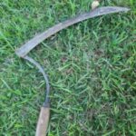 I’m Positive You Will Not Know What This Is. Go Ahead And Prove Me Wrong – Check the first comment!