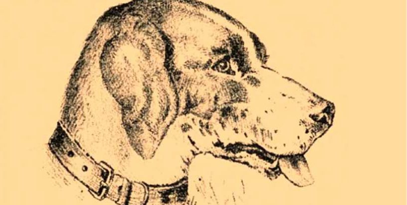“Optical Illusion Vision Test”: Find Dog’s Master in 7 Seconds!