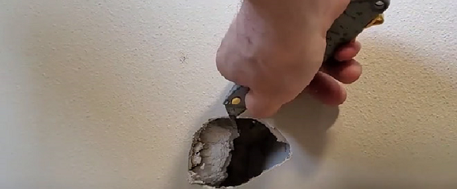 The guy heard a noise coming from the wall. He decided to check it out and found a living creature