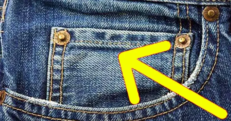 This is why all jeans have a small pocket inside the front pocket – the truth behind it will surprise you greatly
