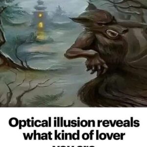 Optical illusion reveals what kind of lover you are