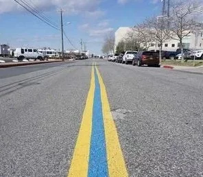 If you’ve come across a blue line painted on the street, here’s what it represents