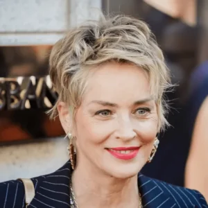 Sharon Stone at 65: Timeless Beauty and Style