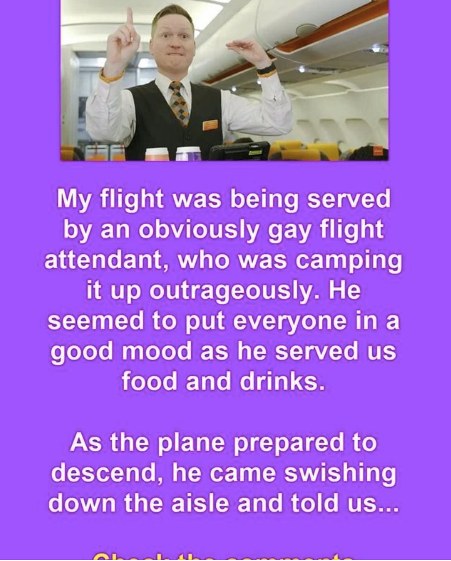 Above the Clouds: The Fabulous Flight Attendant