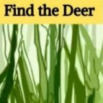 Can You Spot the Hidden Deer in This Tricky Picture?