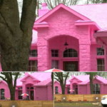 Man creates his dream home and upsets neighbors after painting it Pepto-Bismol pink