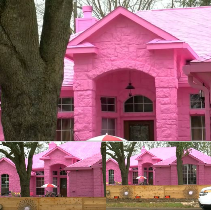 Man creates his dream home and upsets neighbors after painting it Pepto-Bismol pink