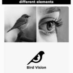 Designer Creates Clever Brand Logos By Combining Two Different Objects Into One