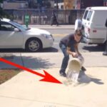 He pours water on the sidewalk. Think he’s crazy? Wait till you see what happens after that