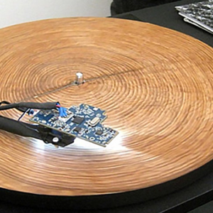 He Puts a Ring from a Tree Trunk on a Record Player. This Is the Most Extraordinary Sound of Nature I Have Ever Heard.