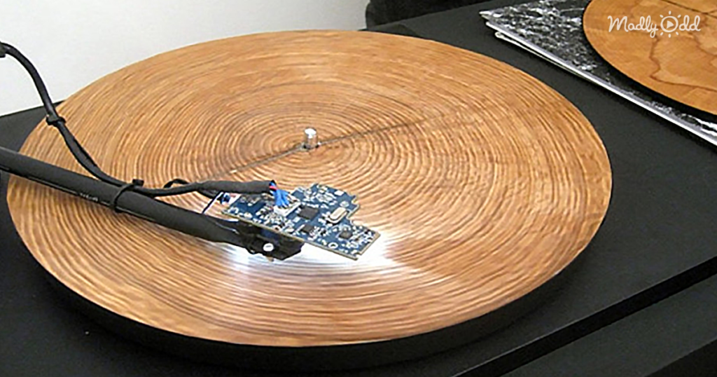 He Puts a Ring from a Tree Trunk on a Record Player. This Is the Most Extraordinary Sound of Nature I Have Ever Heard.