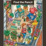 “Optical Illusion Challenge”: Find Pencil in Balcony in 6 Seconds