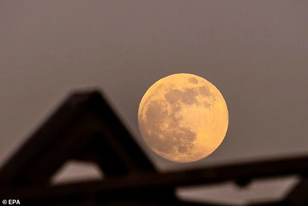 Get ready to witness the Full Flower Moon in all its glory