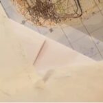 My late mom left $5 Million inheritance to my greedy brother and aunts & I only got an envelope with an address