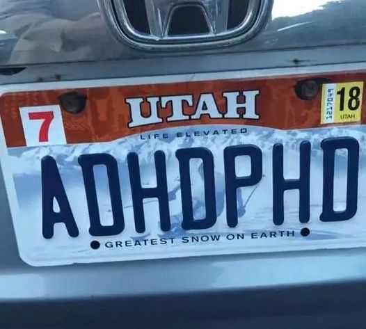 “Mystery Unveiled: The Curious Case of the Controversial License Plate”